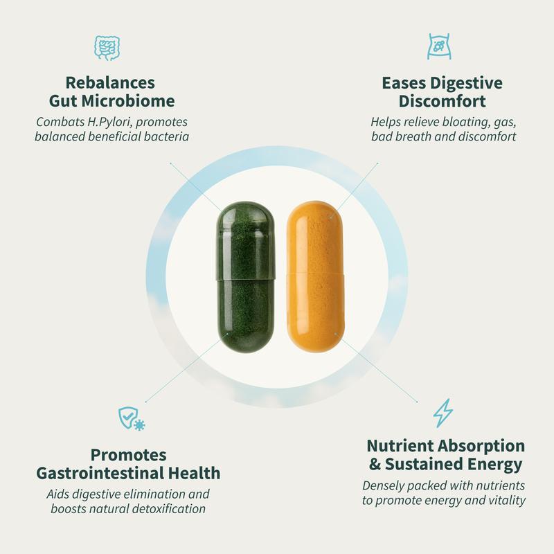 2 For 1 Gut Reset Bundle | Probiotics + Superfood Greens